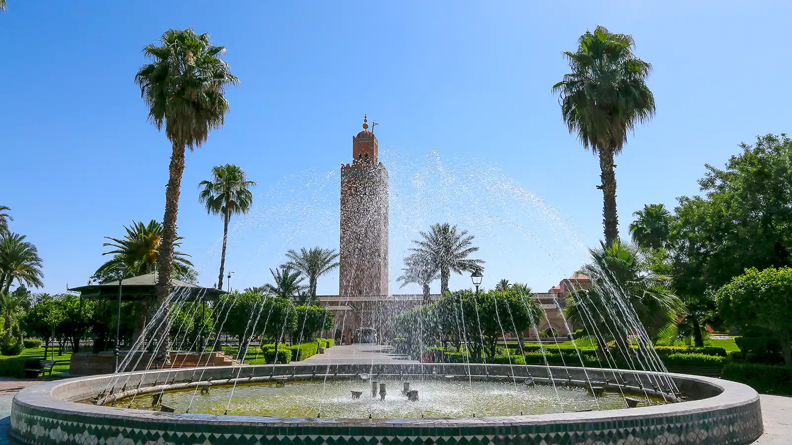 Marrakech medina guided tour with Koutoubia minaret and palm garden view