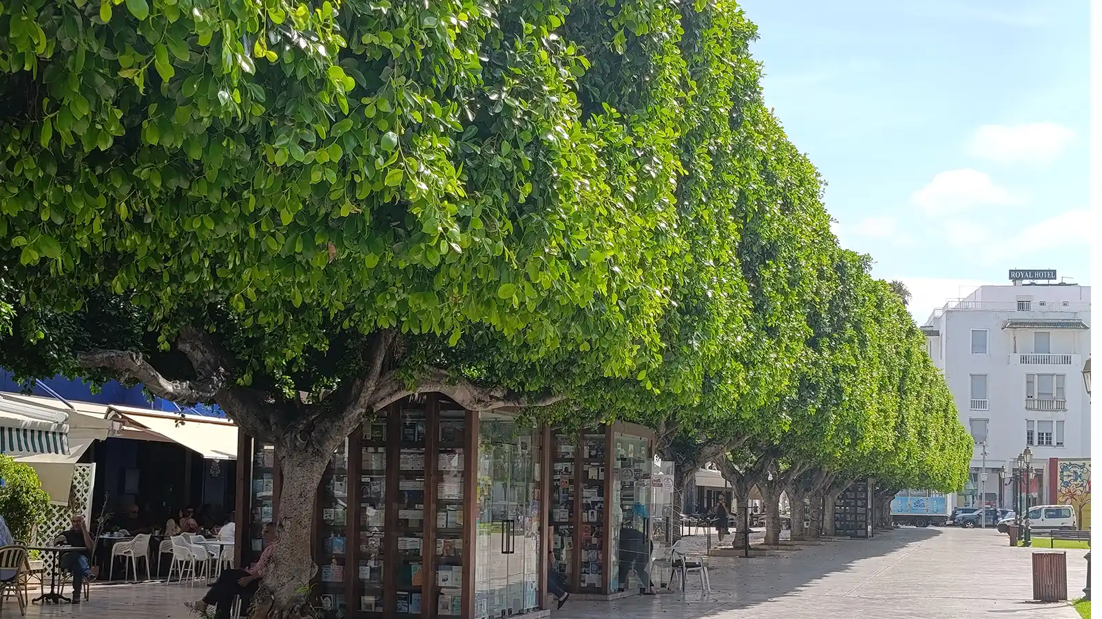 Rabat cultural tour through elegant city center streets and hidden gems