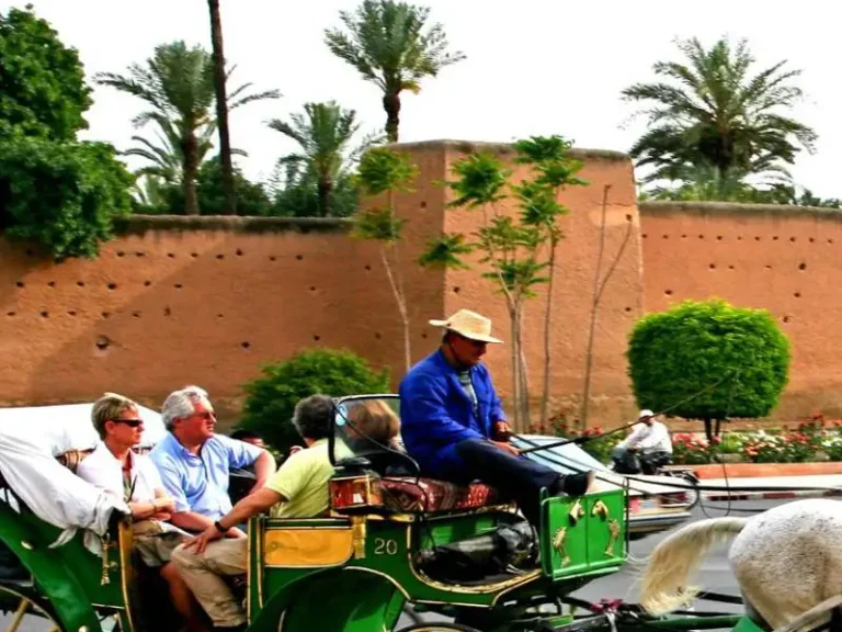 Private Premium Tours